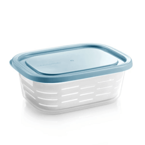 Tescoma Pojemnik do zamrażarki z koszem 4FOOD  2,0 l, 2 l