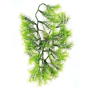 Sztuczny kwiat Asparagus, 40 cm