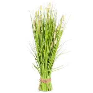 Dekoracyjna trawa kwitnąca 60 cm