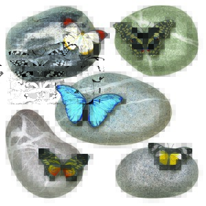 Naklejka Butterflies on Stones, 30 x 30 cm