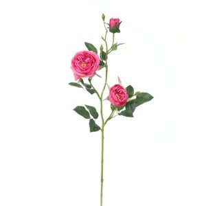 Sztuczna róża angielska, różowy, 69 cm