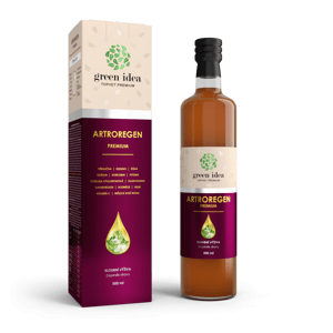 Green Idea Artroregen odżywka do stawów premium,  500 ml