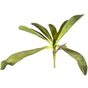 Sztuczny Liść orchidei z korzeniami, 30 cm