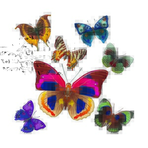 Dekoracja samoprzylepna Butterflies, 30 x 30 cm