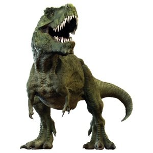 Naklejka 3D T-REX, 14 x 20 cm