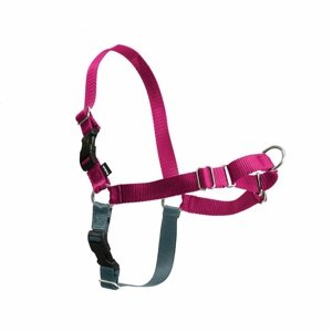 PetSafe Szelki EasyWalk malinowy M