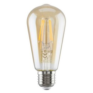 Rabalux Żarówka dekoracyjna LED przezroczysta,E27, ST65, 5 W, 600lm