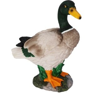 Dekoracja ogrodowa Kaczka, 21 x 11,5 x 26,5 cm,polyresin
