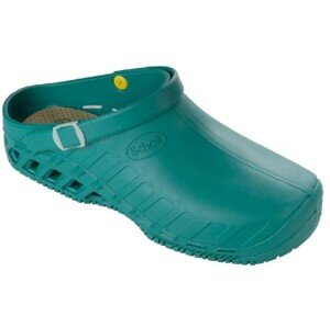 Scholl CLOG EVO - obuwie robocze Profesional rozm. 47, zielony, 47 EU